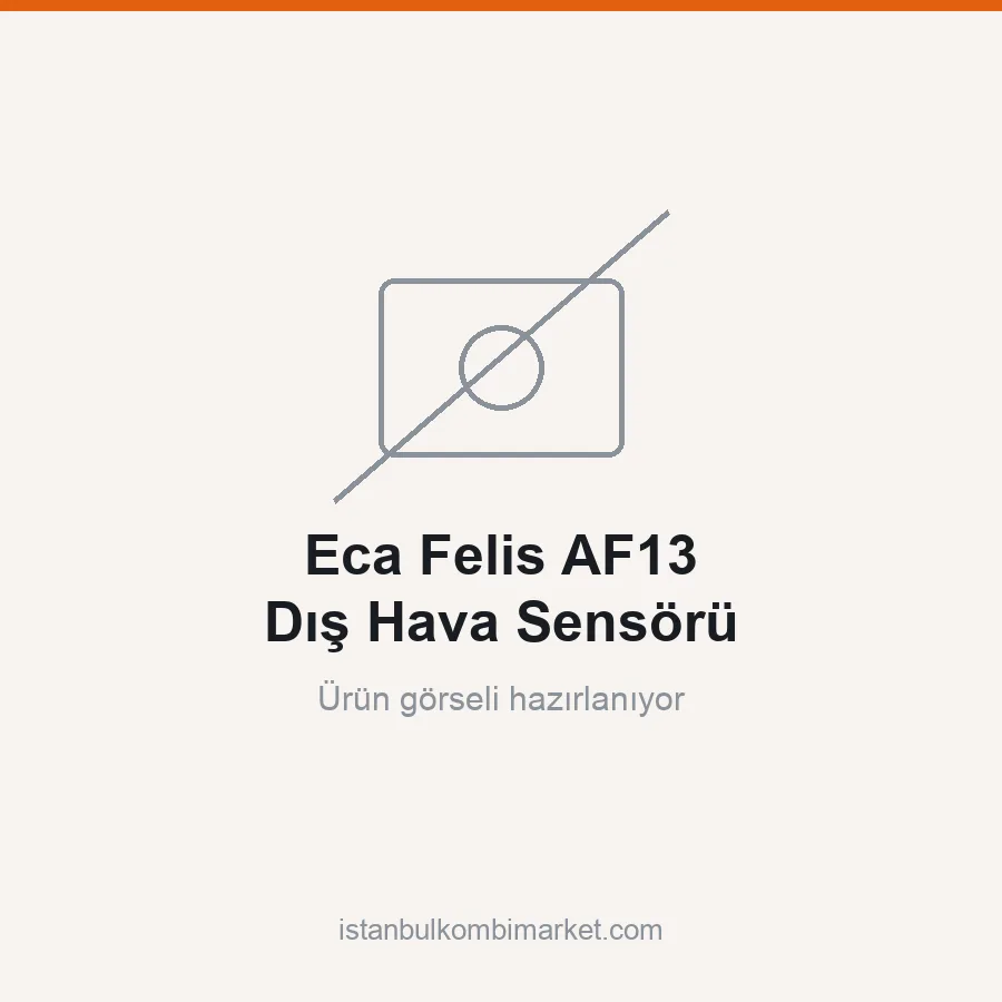 Eca Felis AF13 Dış Hava Sensörü